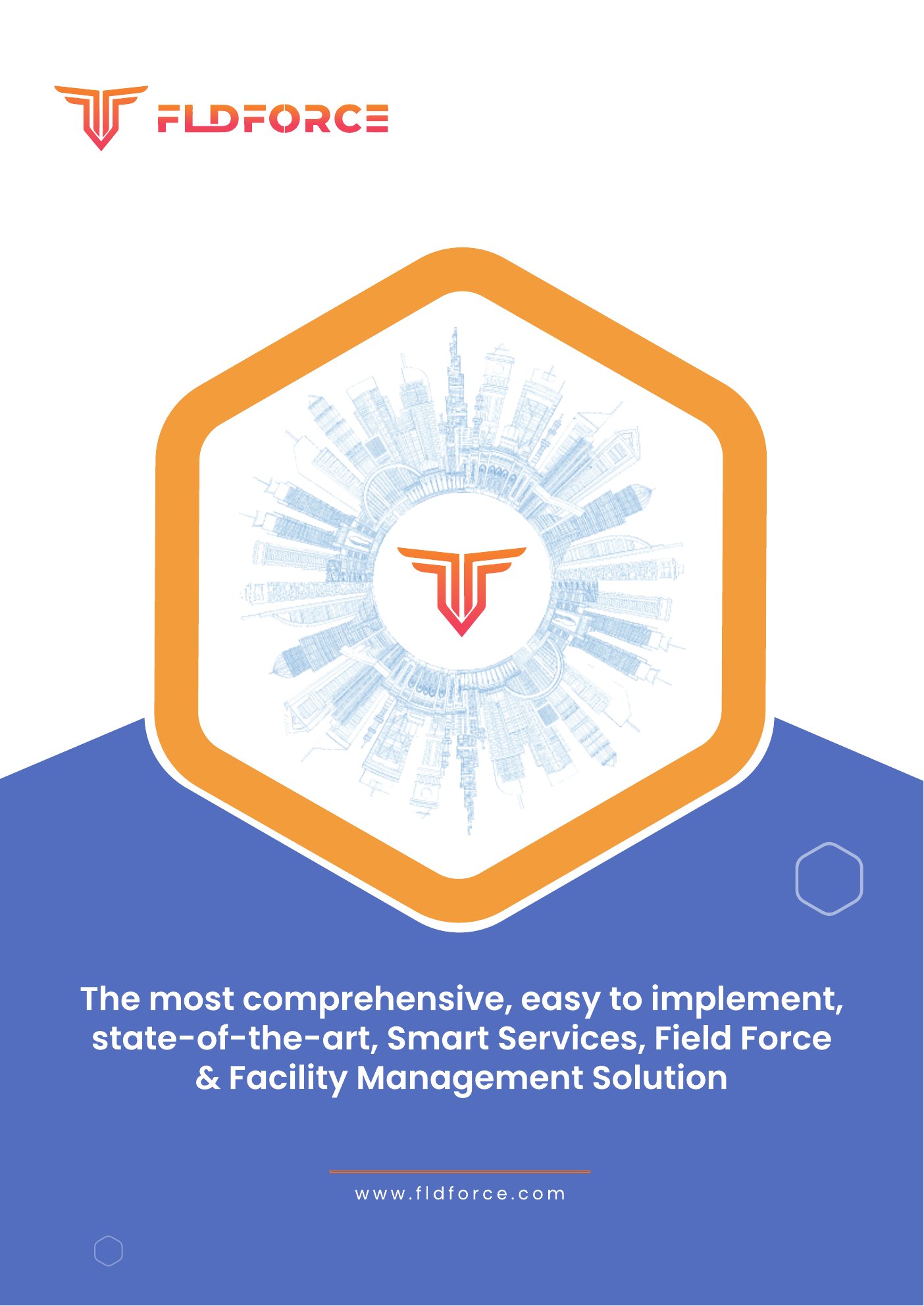 FldForce Overview